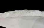 Side view of putti sherd showing the fine-grained white stoneware paste.